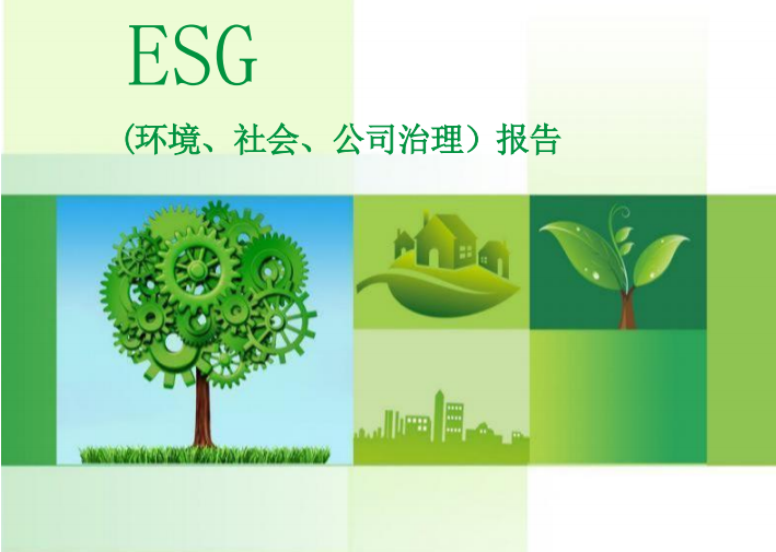 可持续发展(ESG)报告